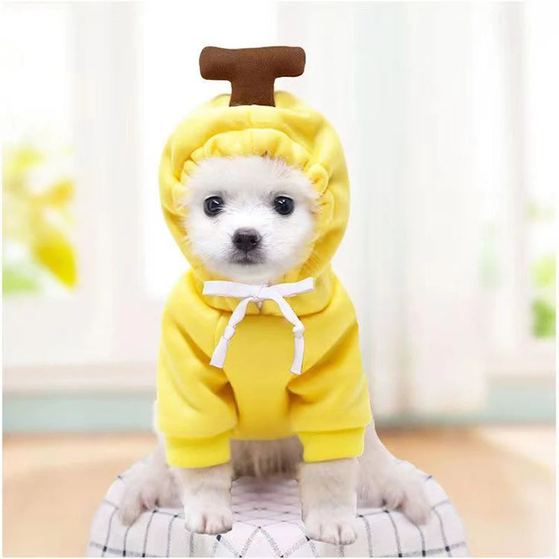 Cute Dog & Cat Hoodie – Fruit-Themed Funny Pet Coat with Hat, Halloween Cosplay Costume