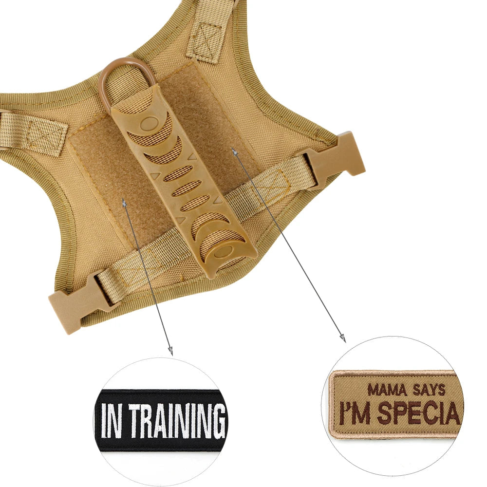 TactiKit™ – Adjustable Tactical Harness & Leash Set