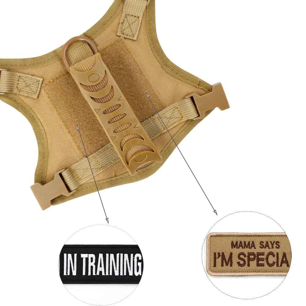 TactiKit™ – Adjustable Tactical Harness & Leash Set