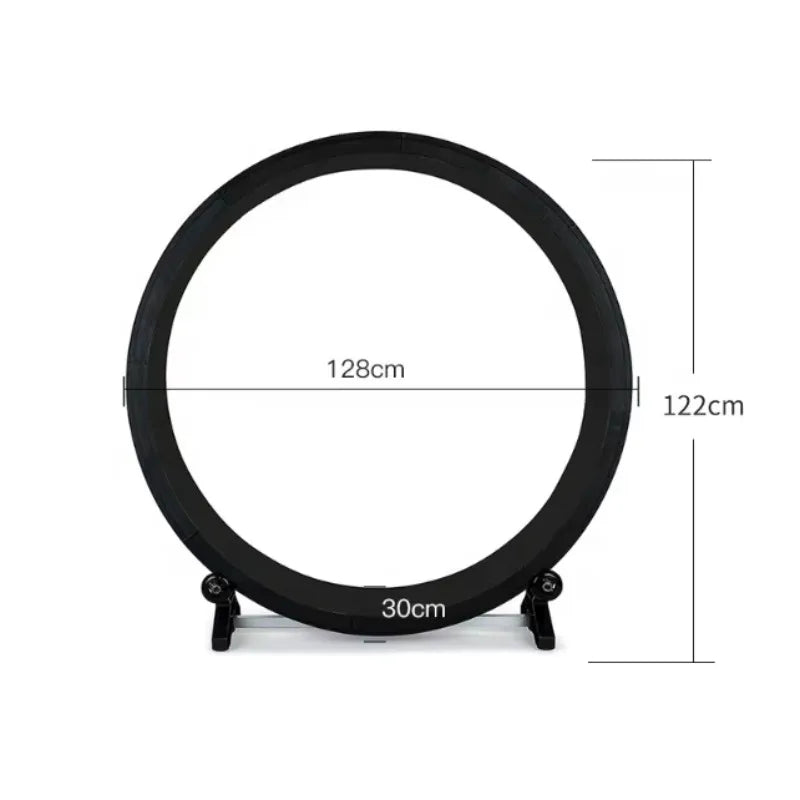 Silent Cat Fitness Wheel – Stable Indoor Exercise Toy