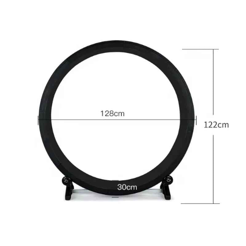 Silent Cat Fitness Wheel – Stable Indoor Exercise Toy