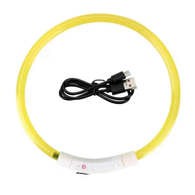 Rechargeable LED Dog Collar – GlowPaw