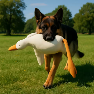 5 Must-Have Products for Every New Pet Owner