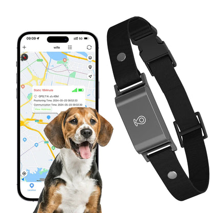 P67 Waterproof 4G GPS Pet Tracker Collar with Real-Time Tracking & Anti-Lost Alert