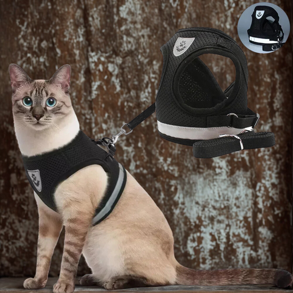 Product placeholder