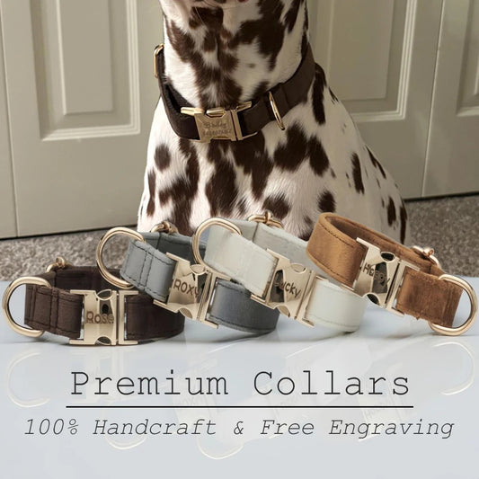 Velvet Personalized Dog Collar & Leash – Custom Engraved Name Tag