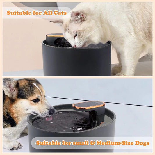 AquaSense™ 3L Smart Pet Water Fountain with Motion Sensor & LED Light