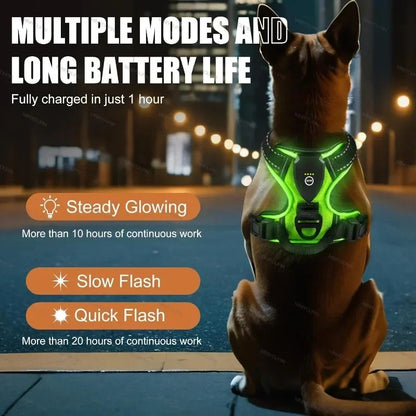 LED Dog Harness – No-Pull, Adjustable & Rechargeable