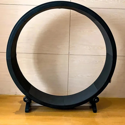 Silent Cat Fitness Wheel – Stable Indoor Exercise Toy