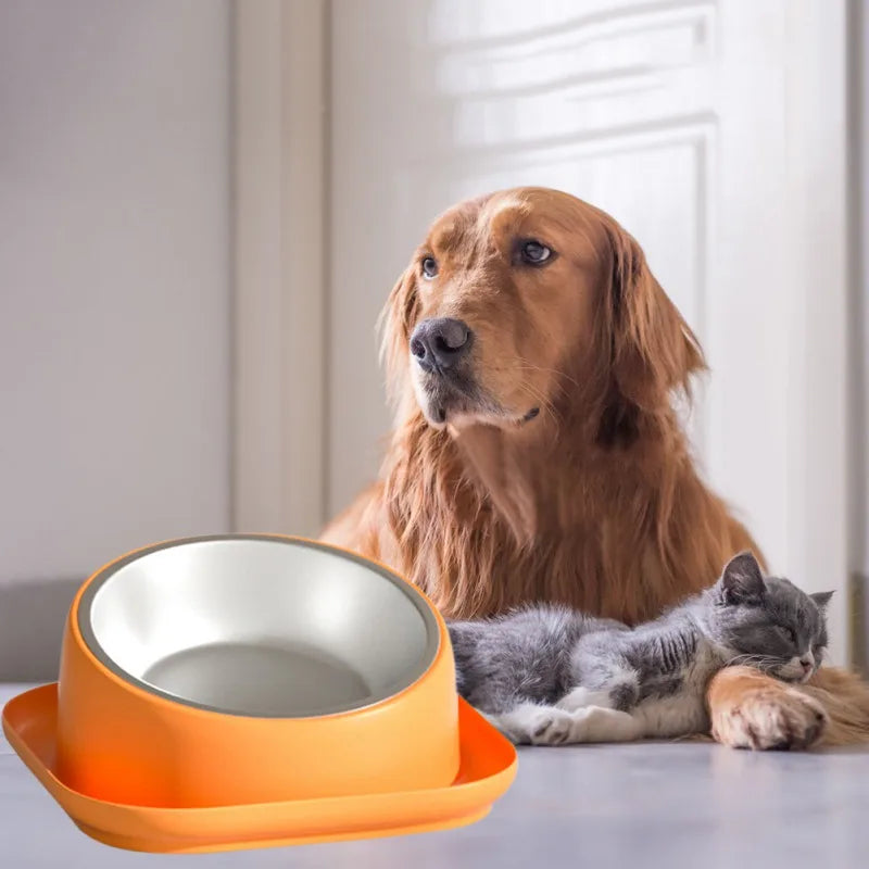 NeckGuard™ – 15° Tilt Anti-Slip Pet Feeding Bowl