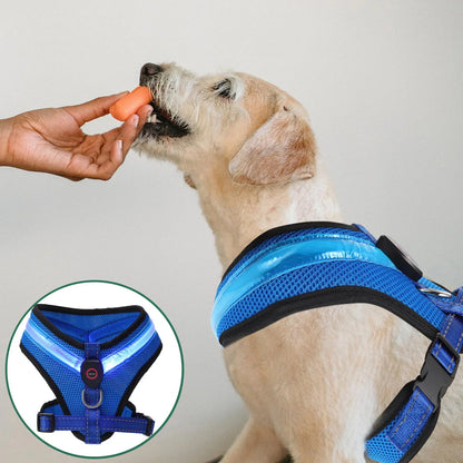 LED Luminous Dog Harness – Rechargeable Night Safety Vest