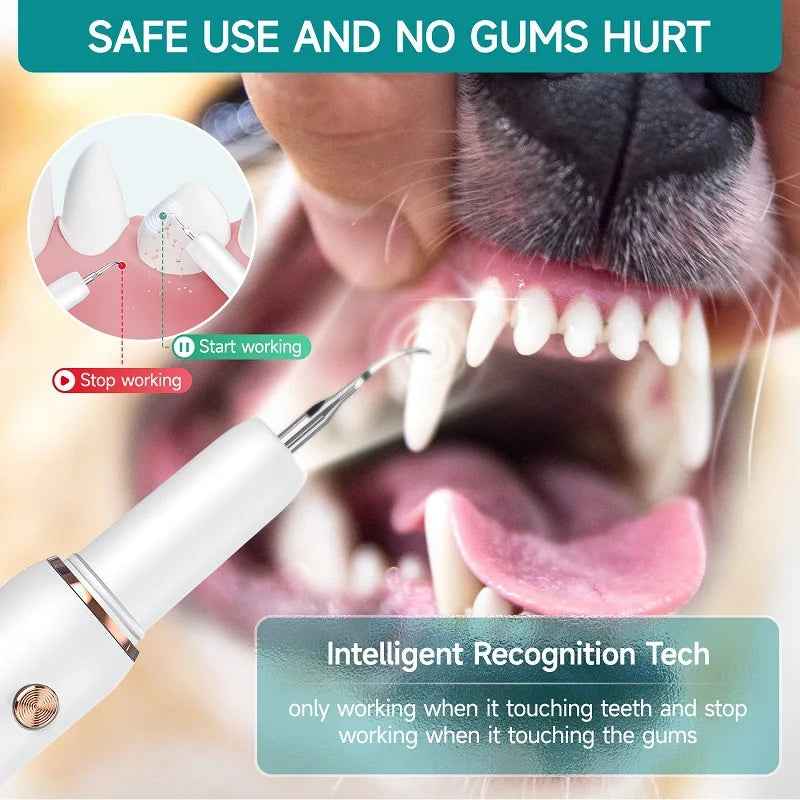 Electric Ultrasonic Pet Dental Cleaner – Plaque & Tartar Remover for Dogs and Cats