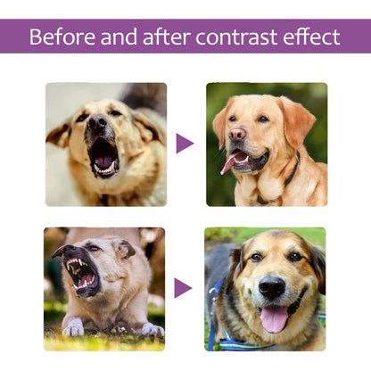 Dog Calming Spray – Anti-Anxiety & Stress Relief