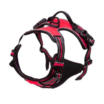 PawSet™ – Leather Dog Collar & Harness with Leash