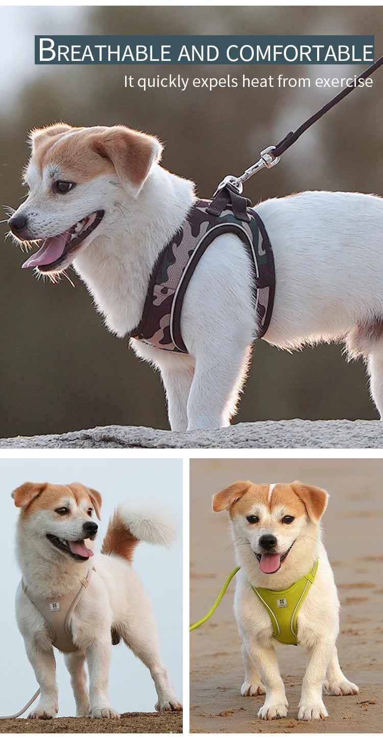 SafePaw™ – Reflective Harness & Leash Set