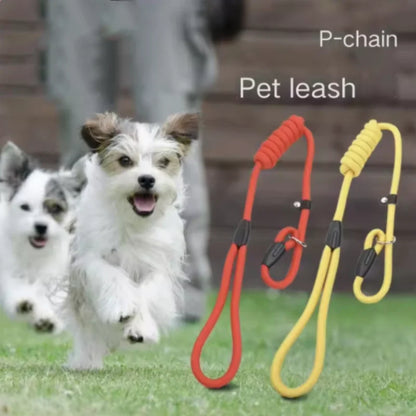 PawLead™ – Adjustable Nylon Dog Leash