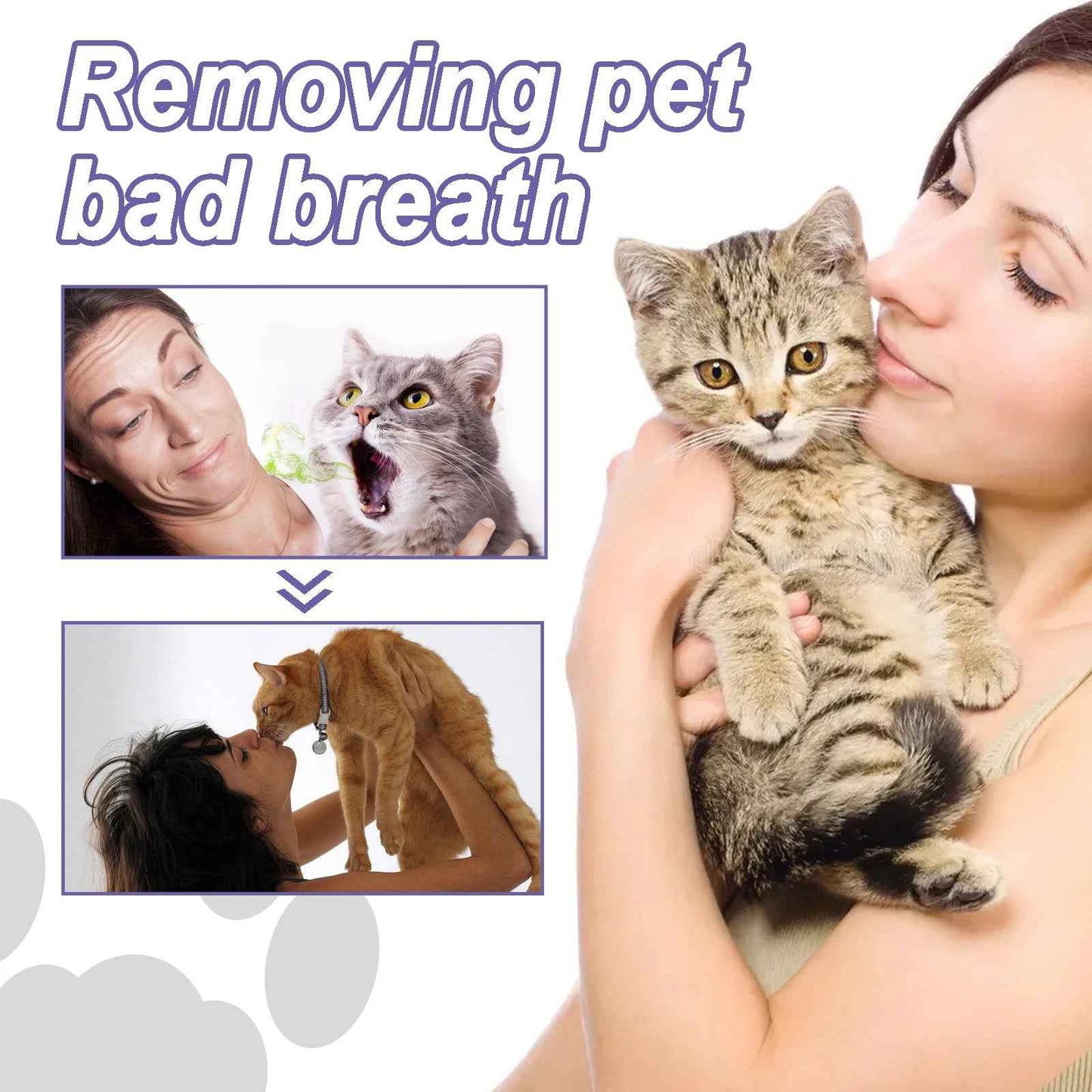Pet Dental Care Gel Pen 3ml – Teeth Cleaning & Fresh Breath for Dogs and Cats