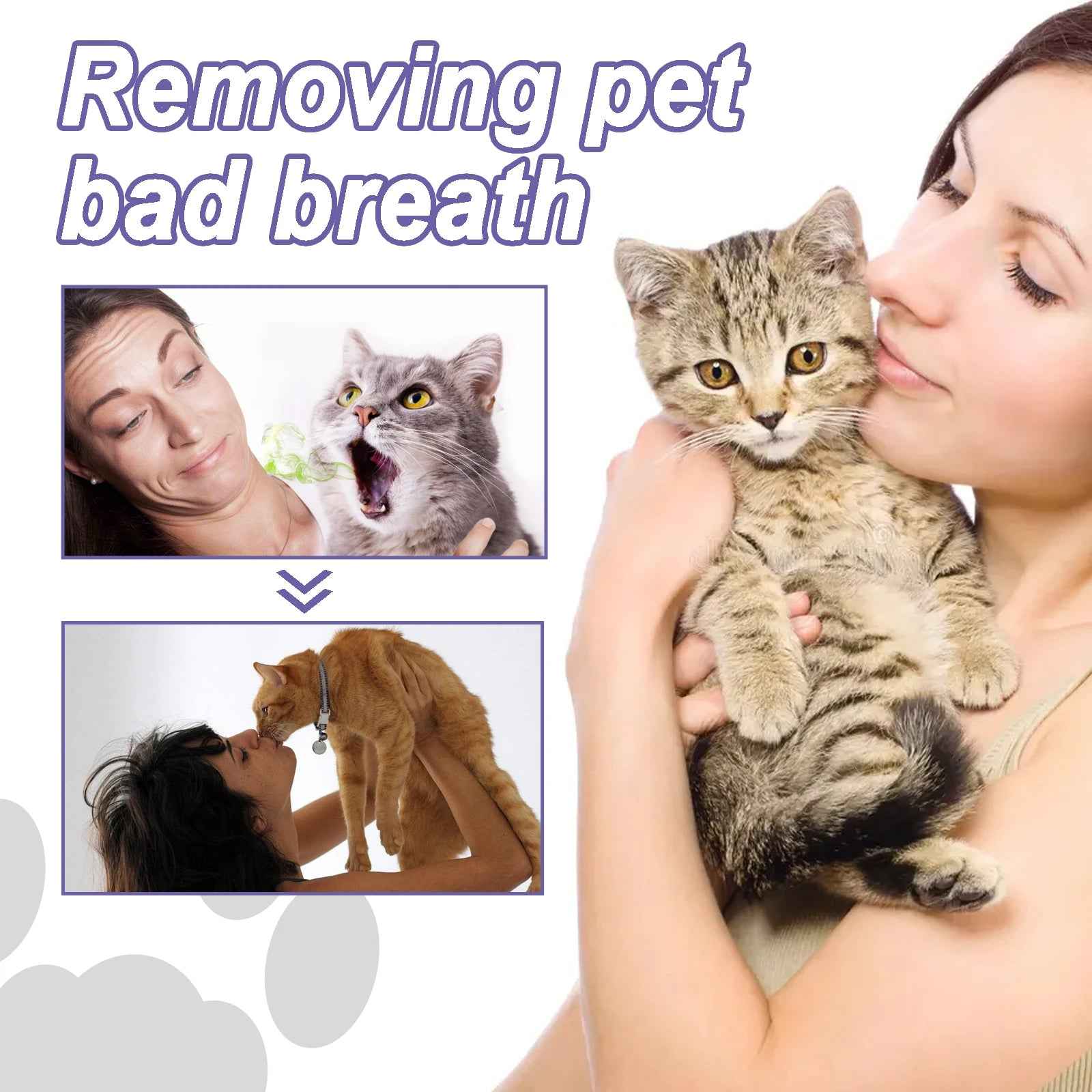 Pet Dental Care Gel Pen 3ml – Teeth Cleaning & Fresh Breath for Dogs and Cats