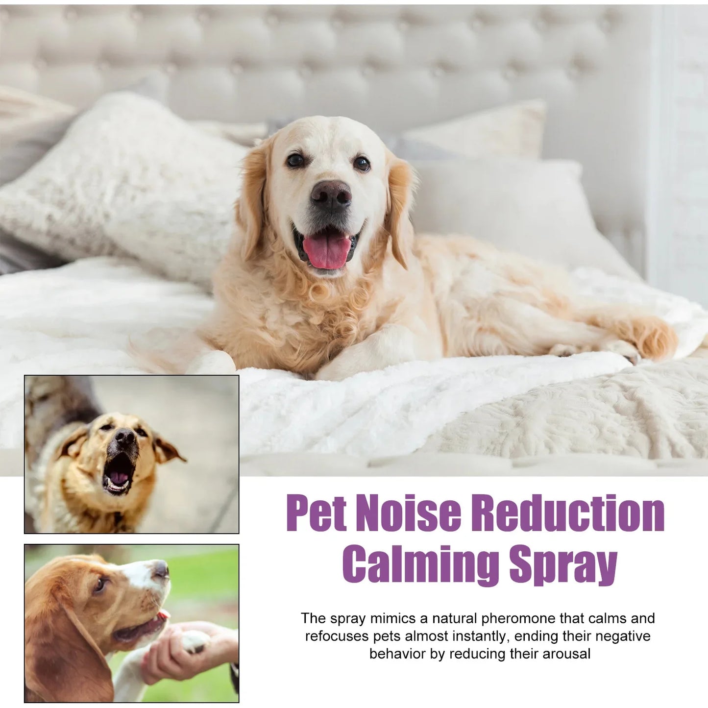 Dog Calming Spray – Anti-Anxiety & Stress Relief