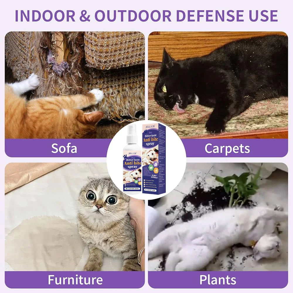 Anti-Scratch & Chew Repellent Spray for Cats and Dogs – Furniture Protector