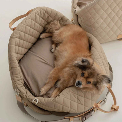 Luxury Waterproof Pet Carrier Bag for Dogs & Cats – Portable Travel Handbag and Car Seat