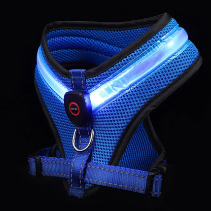 LED Luminous Dog Harness – Rechargeable Night Safety Vest