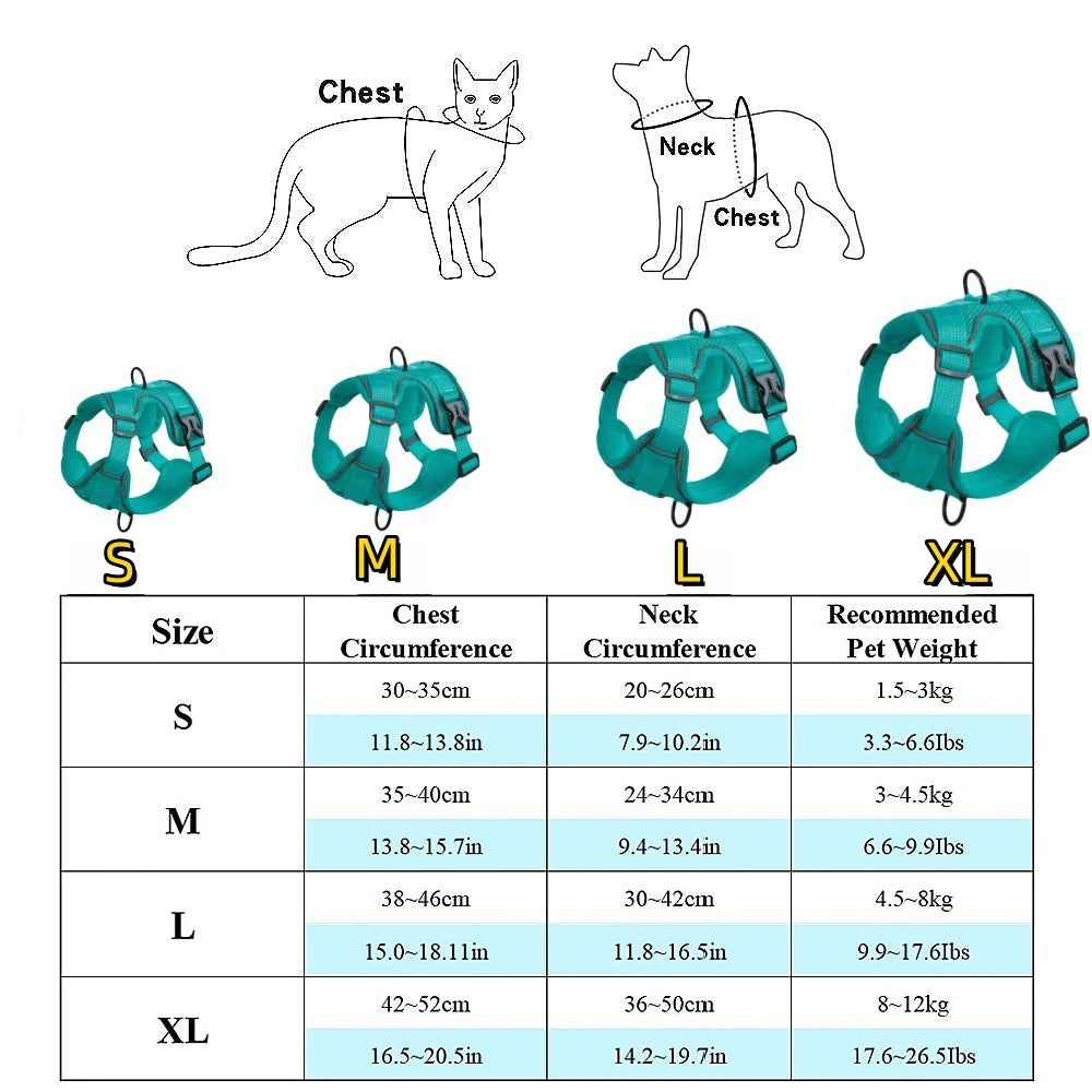 Dog Harness & Leash Set