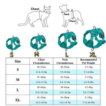 Dog Harness & Leash Set