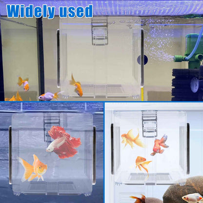 Aquarium Breeder Box – Clear Fish Breeding & Isolation Tank with Removable Mesh Lid