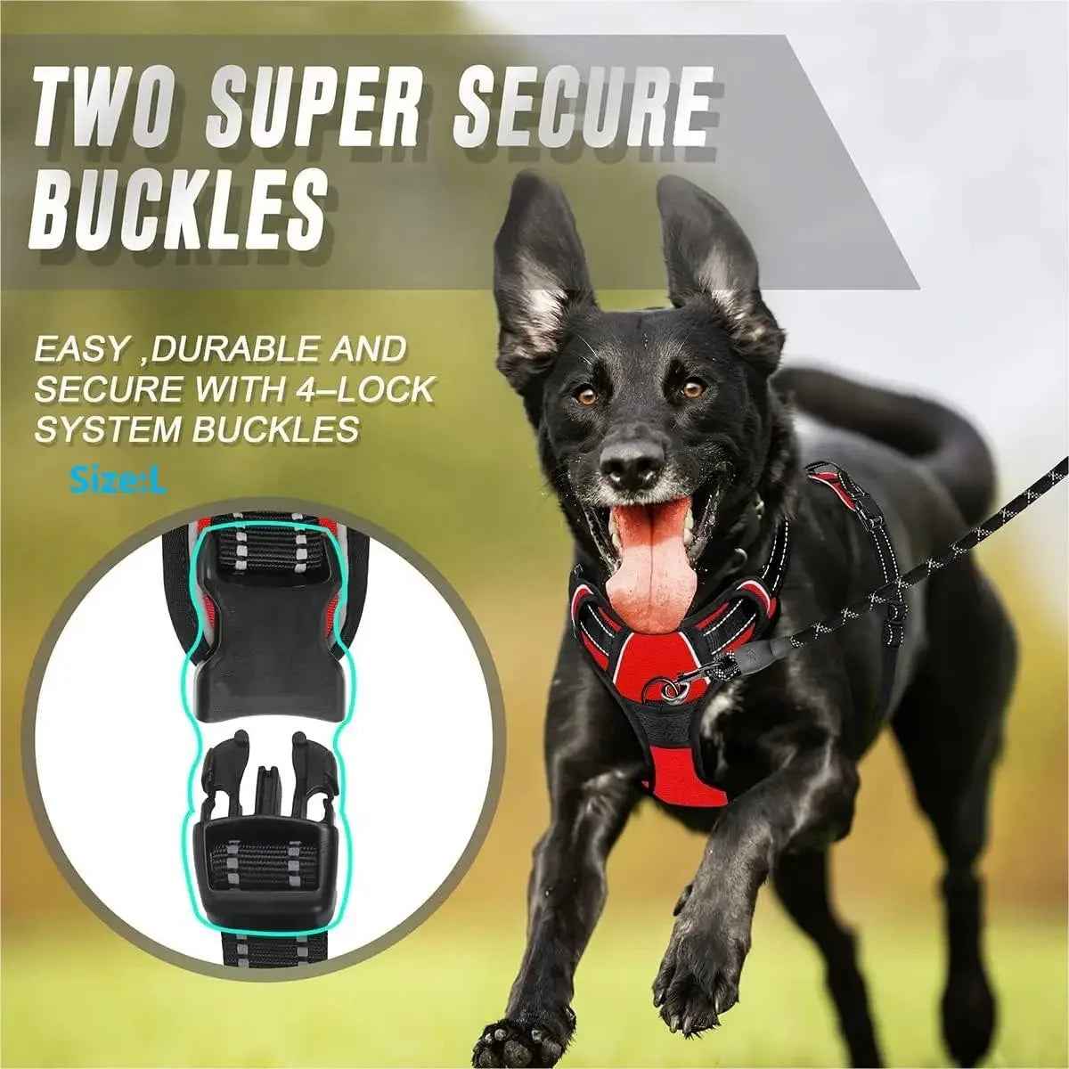 PawSet™ – Leather Dog Collar & Harness with Leash