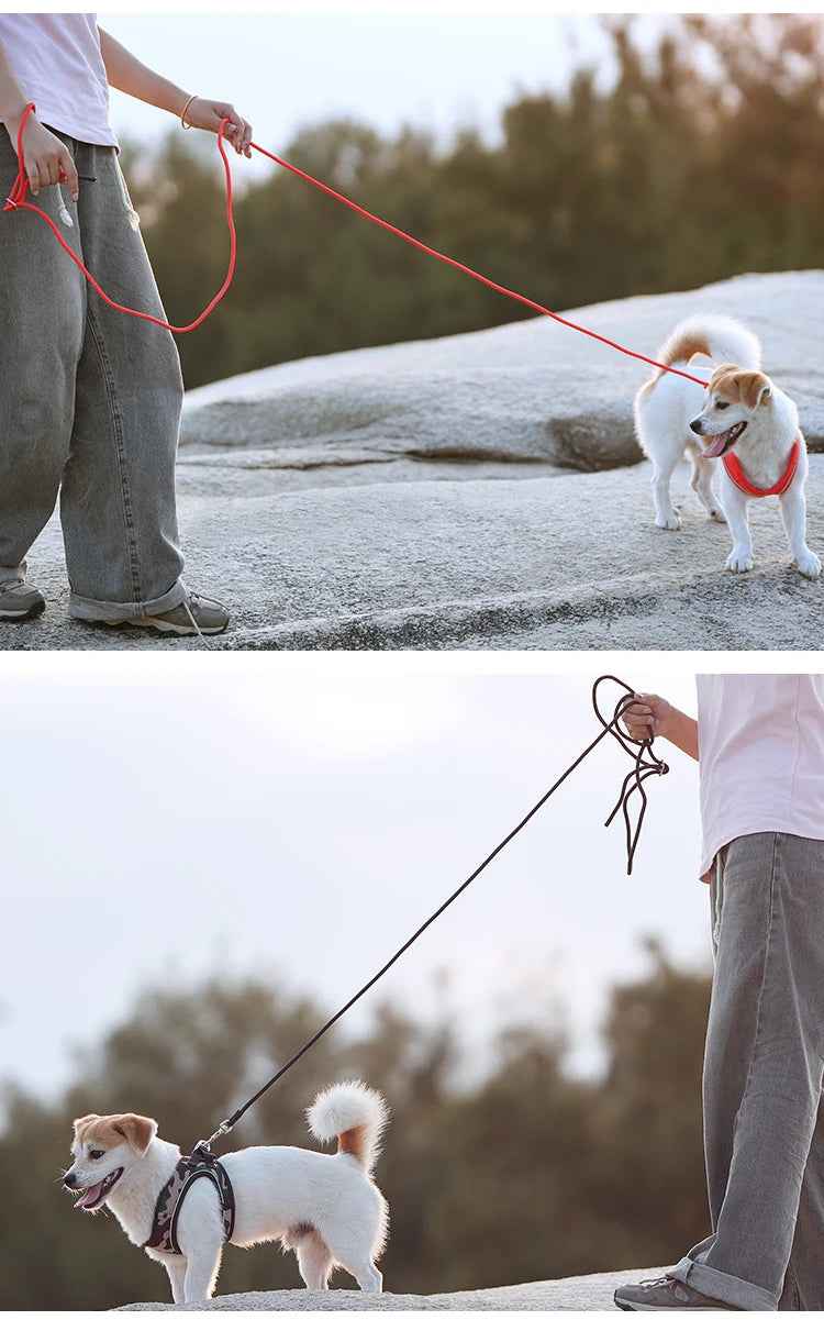 SafePaw™ – Reflective Harness & Leash Set