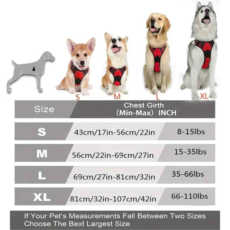 PawSet™ – Leather Dog Collar & Harness with Leash