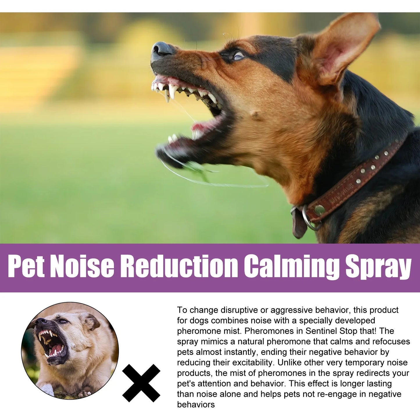 Dog Calming Spray – Anti-Anxiety & Stress Relief