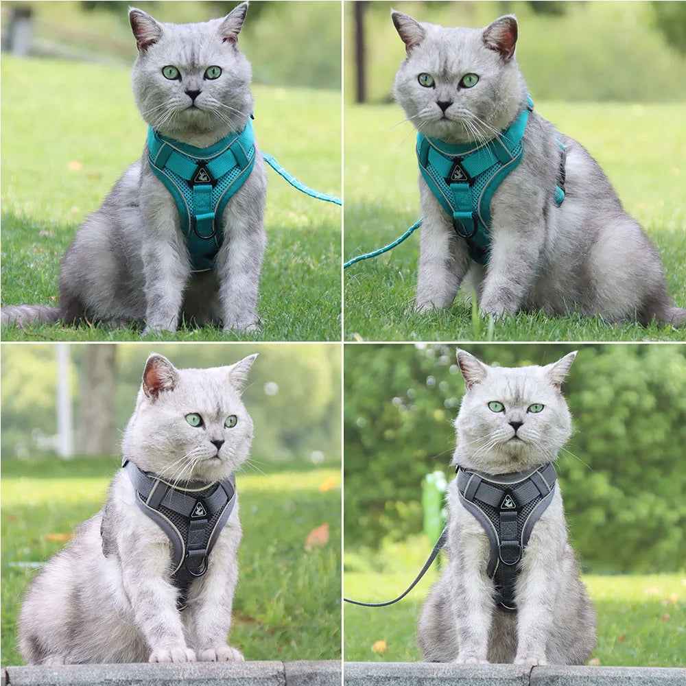 Dog Harness & Leash Set