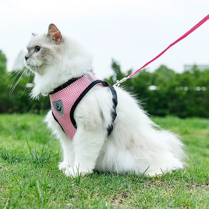 AirPaw™ – Breathable Mesh Harness & Leash Set