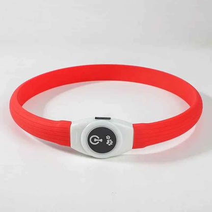 LED Dog Collar USB Rechargeable – Waterproof Glow Collar for Night Safety | Fits Small, Medium & Large Dogs