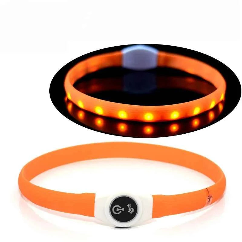 LED Dog Collar USB Rechargeable – Waterproof Glow Collar for Night Safety | Fits Small, Medium & Large Dogs