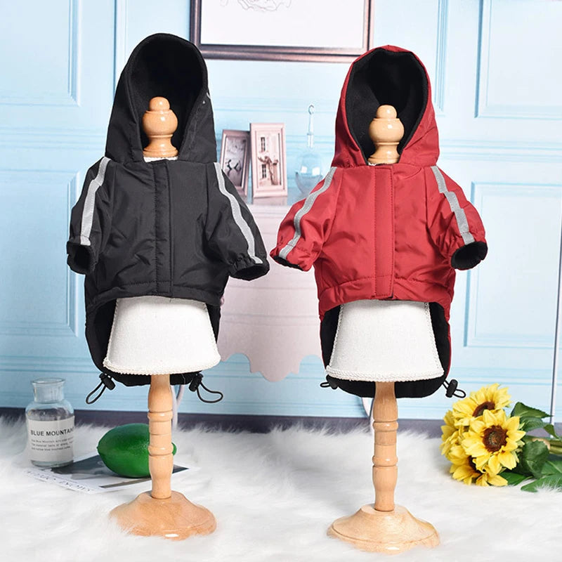 Waterproof dog coat detail