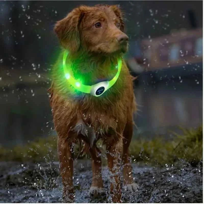 LED Dog Collar USB Rechargeable – Waterproof Glow Collar for Night Safety | Fits Small, Medium & Large Dogs