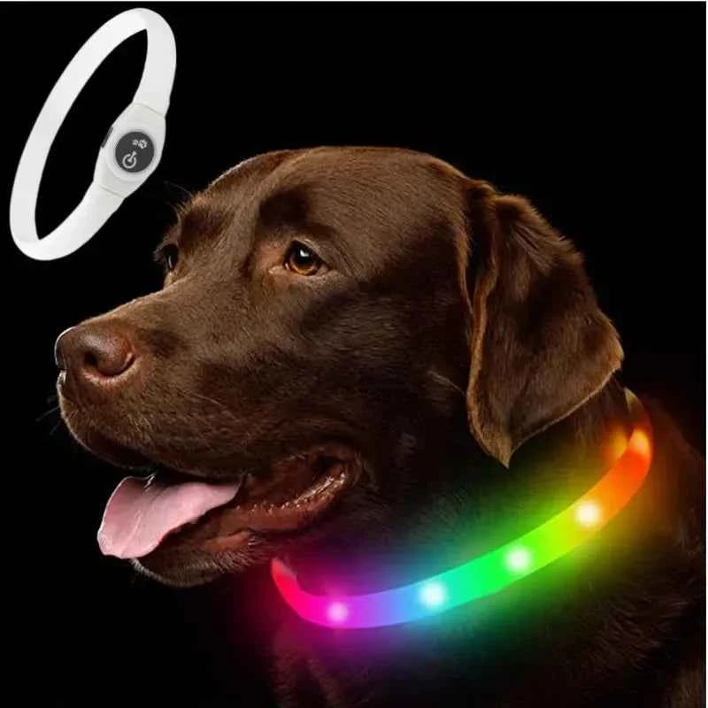 LED Dog Collar USB Rechargeable – Waterproof Glow Collar for Night Safety | Fits Small, Medium & Large Dogs