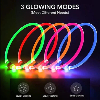 GlowPaw™ – Rechargeable LED Light Dog Collar