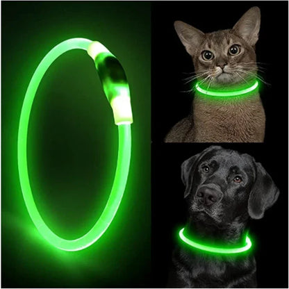 GlowPaw™ – Rechargeable LED Light Dog Collar