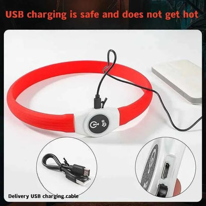 LED Dog Collar USB Rechargeable – Waterproof Glow Collar for Night Safety | Fits Small, Medium & Large Dogs