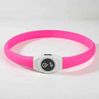 LED Dog Collar USB Rechargeable – Waterproof Glow Collar for Night Safety | Fits Small, Medium & Large Dogs