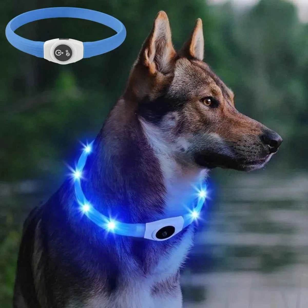 LED Dog Collar USB Rechargeable – Waterproof Glow Collar for Night Safety | Fits Small, Medium & Large Dogs
