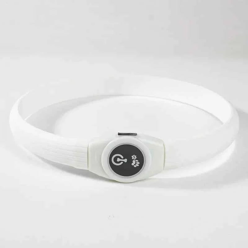 LED Dog Collar USB Rechargeable – Waterproof Glow Collar for Night Safety | Fits Small, Medium & Large Dogs