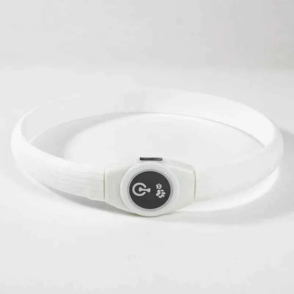 LED Dog Collar USB Rechargeable – Waterproof Glow Collar for Night Safety | Fits Small, Medium & Large Dogs