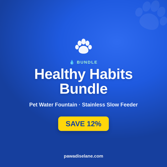 Healthy Habits Bundle — Smart Water Fountain + Slow Feeder Bowl