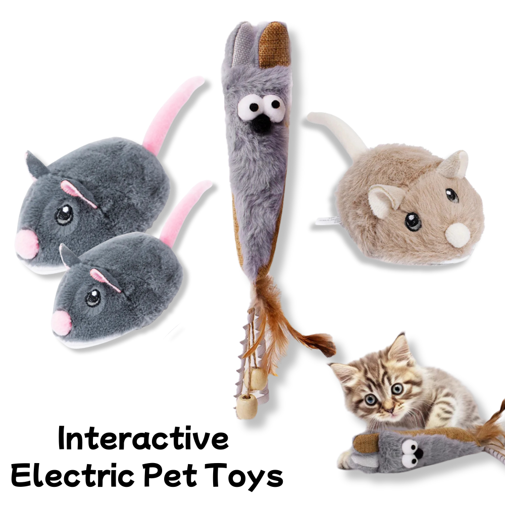 ChaseMouse™ – Interactive Electric Pet Toy
