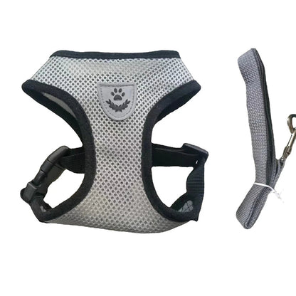 AirPaw™ – Breathable Mesh Harness & Leash Set